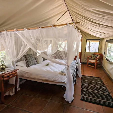 Pungwe Safari Camp Villa Manyeleti Game Reserve Exterior photo