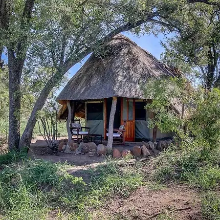 Pungwe Safari Camp Villa Manyeleti Game Reserve Exterior photo