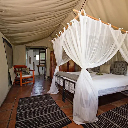Pungwe Safari Camp Villa Manyeleti Game Reserve Exterior photo