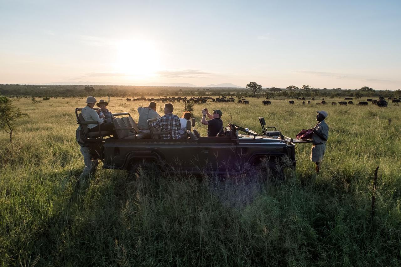 Pungwe Safari Camp Lodge Manyeleti Game Reserve