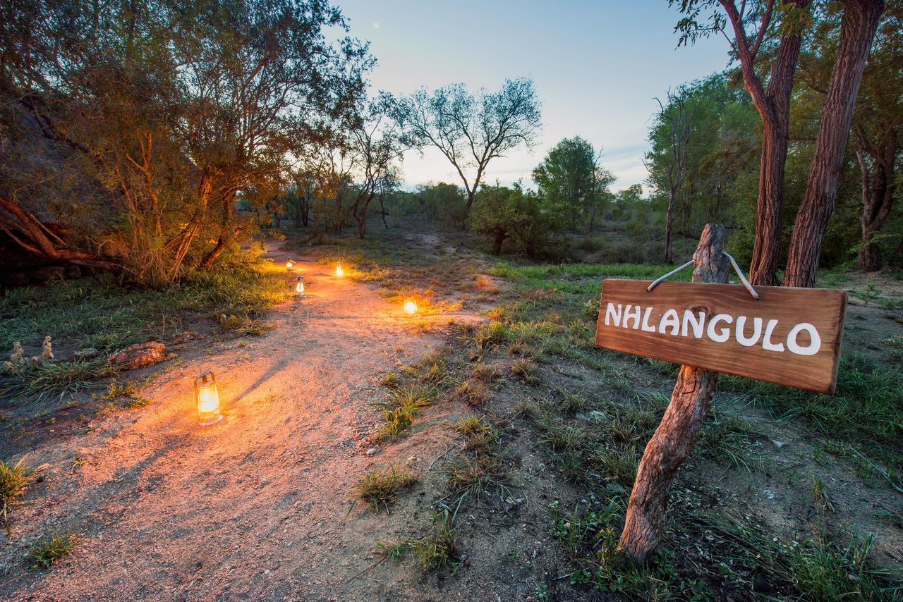 Pungwe Safari Camp Manyeleti Game Reserve