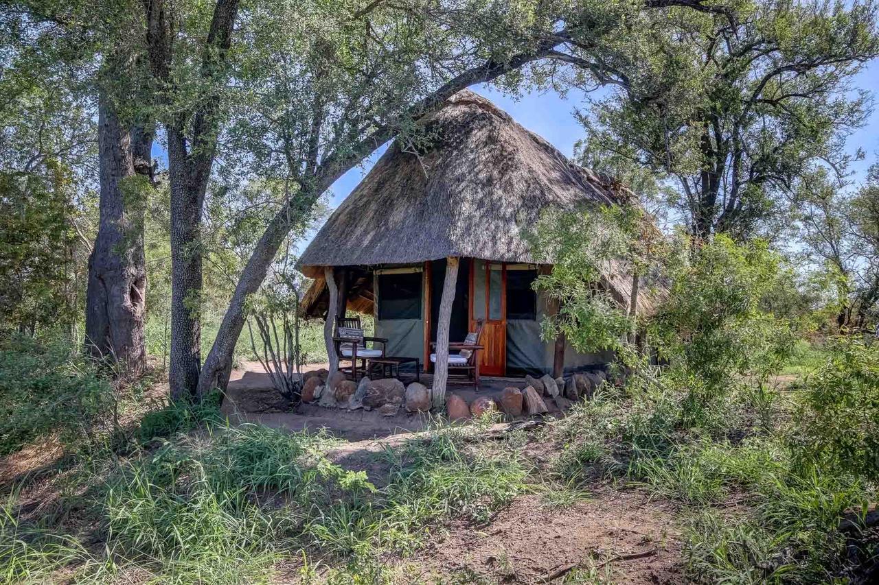 Lodge Pungwe Safari Camp Manyeleti Game Reserve