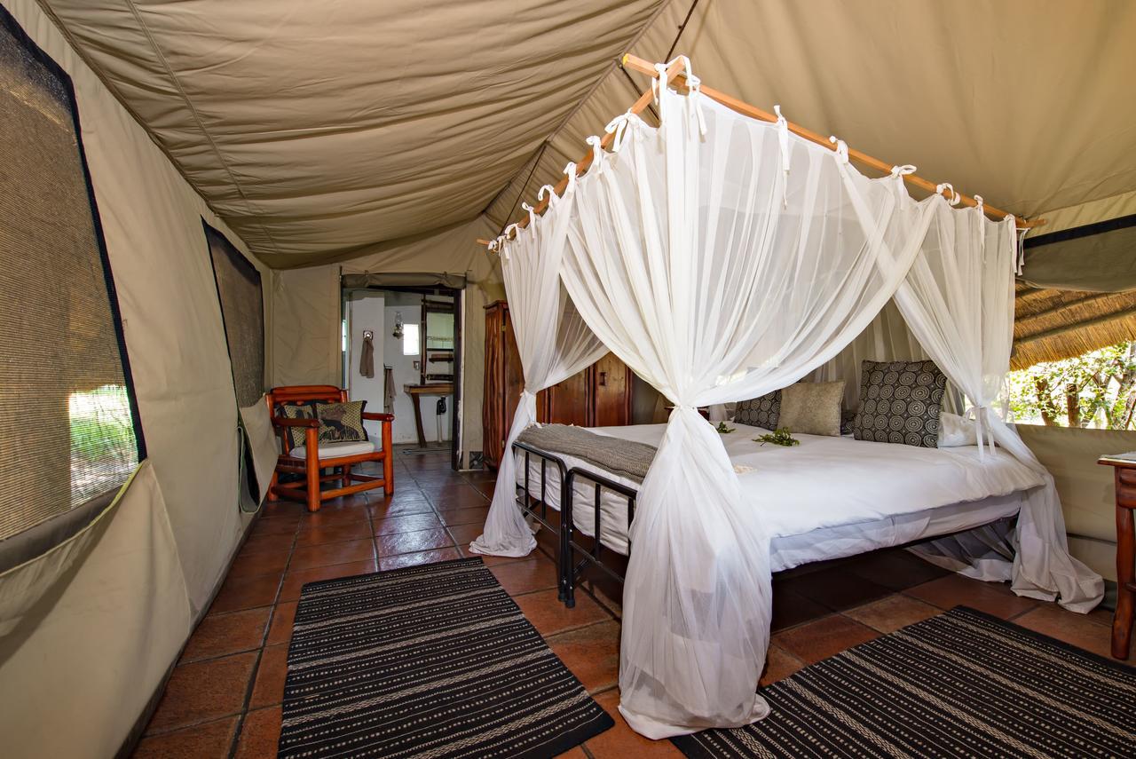 Pungwe Safari Camp Manyeleti Game Reserve